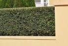 Cape Woolamaihard-landscaping-surfaces-8.jpg; ?>